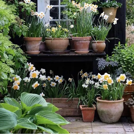 La & Caux 2 * Cany-Barville